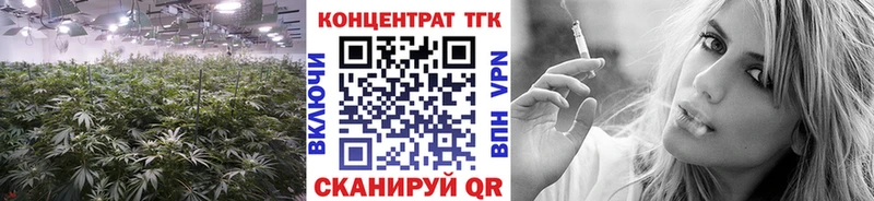 купить   Нарьян-Мар  Дистиллят ТГК концентрат 