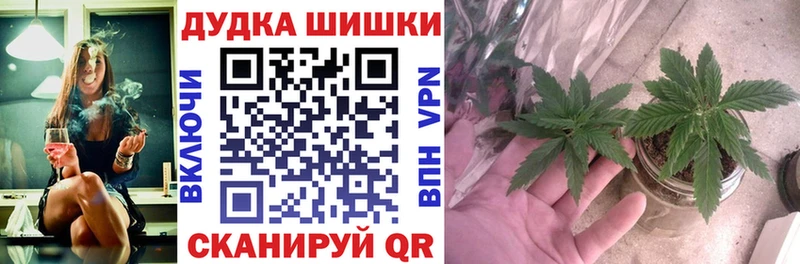 kraken зеркало  Нарьян-Мар  МАРИХУАНА White Widow 